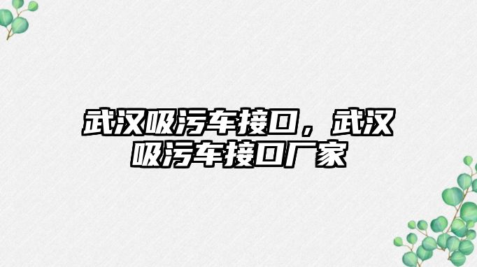 武漢吸污車接口，武漢吸污車接口廠家