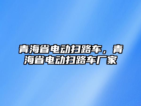 青海省電動掃路車，青海省電動掃路車廠家