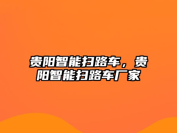 貴陽智能掃路車，貴陽智能掃路車廠家