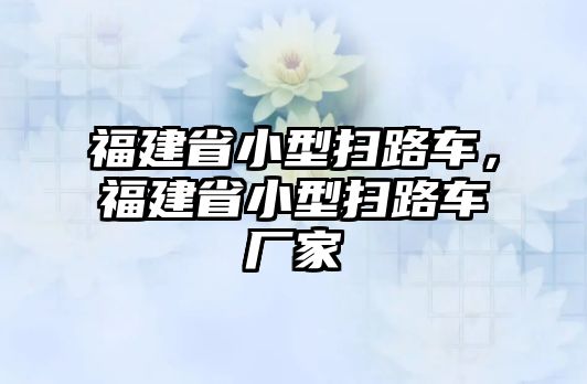 福建省小型掃路車，福建省小型掃路車廠家