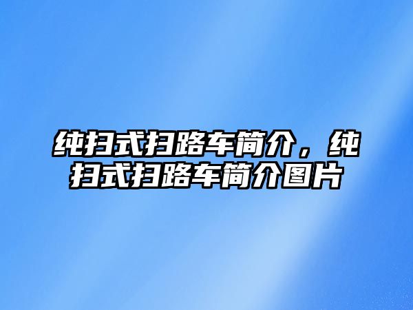 純掃式掃路車簡介，純掃式掃路車簡介圖片