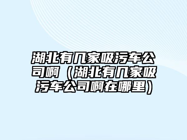 湖北有幾家吸污車公司?。ê庇袔准椅圮嚬景≡谀睦铮?/>	
							</a> 
						</div>
						<div   id=