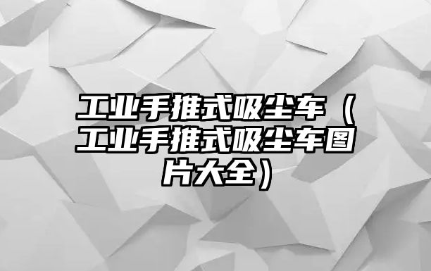 工業(yè)手推式吸塵車（工業(yè)手推式吸塵車圖片大全）