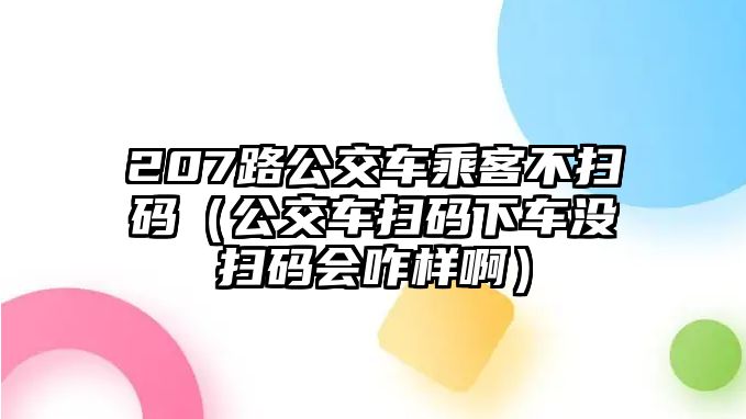 207路公交車乘客不掃碼（公交車掃碼下車沒掃碼會咋樣?。?/>	
							</a> 
						</div>
						<div   id=