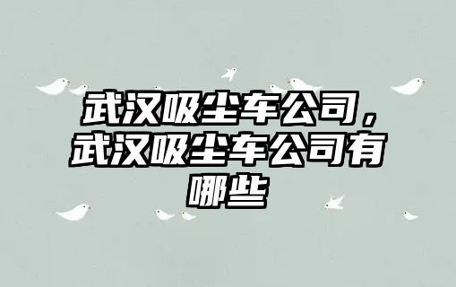 武漢吸塵車公司，武漢吸塵車公司有哪些