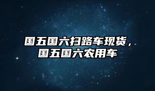 國(guó)五國(guó)六掃路車現(xiàn)貨，國(guó)五國(guó)六農(nóng)用車