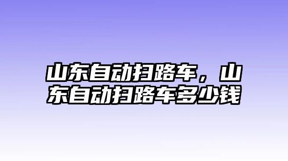 山東自動掃路車，山東自動掃路車多少錢