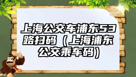 上海公交車浦東53路掃碼（上海浦東公交乘車碼）