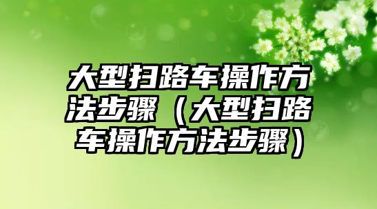 大型掃路車操作方法步驟（大型掃路車操作方法步驟）