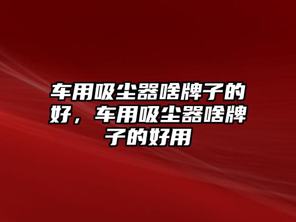 車用吸塵器啥牌子的好，車用吸塵器啥牌子的好用