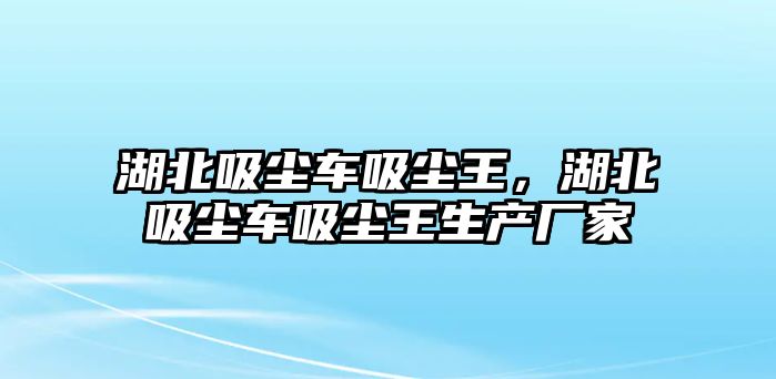 湖北吸塵車吸塵王，湖北吸塵車吸塵王生產(chǎn)廠家