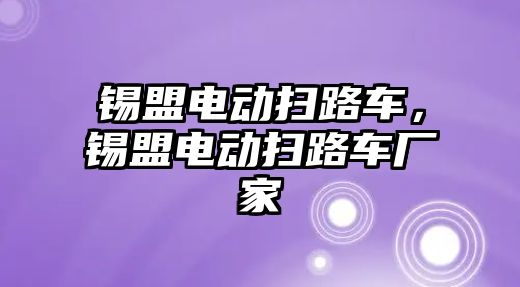 錫盟電動掃路車，錫盟電動掃路車廠家