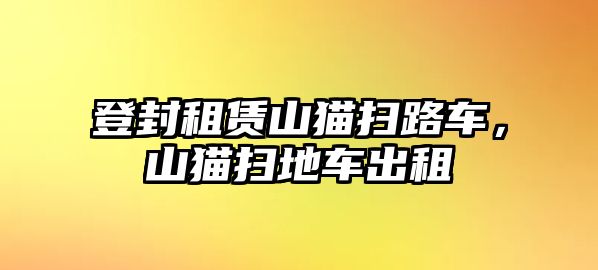 登封租賃山貓掃路車，山貓掃地車出租