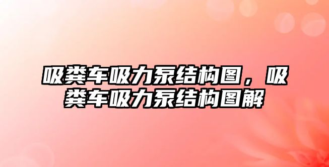 吸糞車吸力泵結(jié)構(gòu)圖，吸糞車吸力泵結(jié)構(gòu)圖解