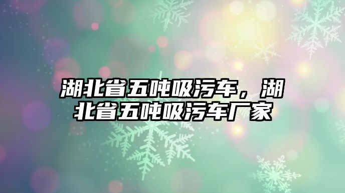 湖北省五噸吸污車，湖北省五噸吸污車廠家