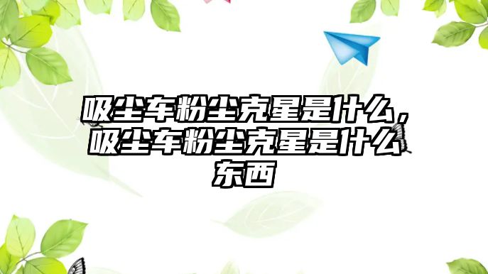 吸塵車粉塵克星是什么，吸塵車粉塵克星是什么東西