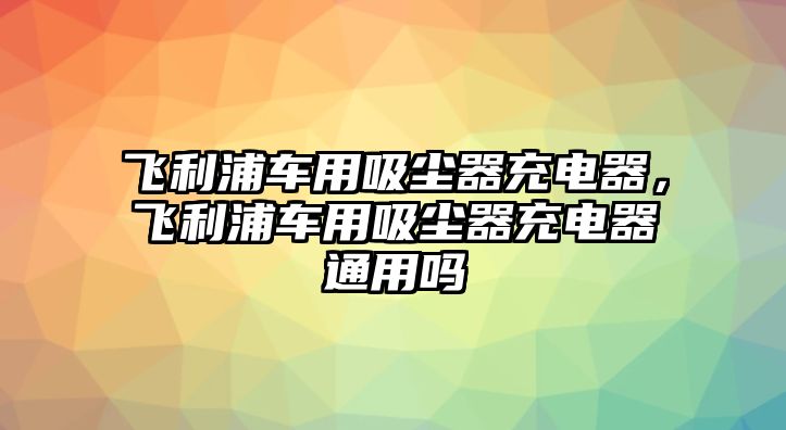 飛利浦車用吸塵器充電器，飛利浦車用吸塵器充電器通用嗎