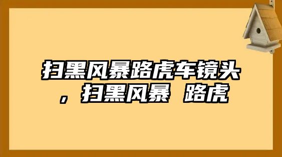 掃黑風(fēng)暴路虎車(chē)鏡頭，掃黑風(fēng)暴 路虎