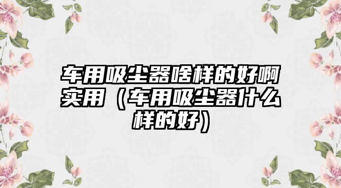 車用吸塵器啥樣的好啊實用（車用吸塵器什么樣的好）