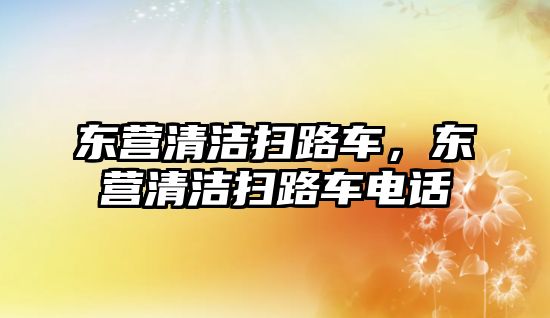 東營清潔掃路車，東營清潔掃路車電話