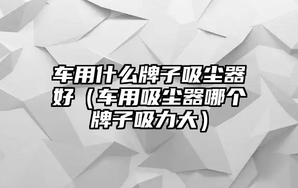 車用什么牌子吸塵器好（車用吸塵器哪個牌子吸力大）