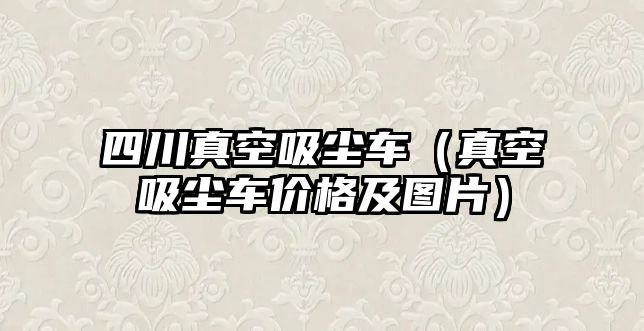 四川真空吸塵車（真空吸塵車價(jià)格及圖片）