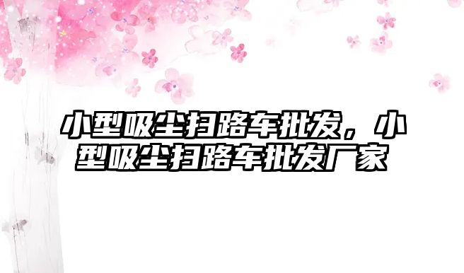 小型吸塵掃路車批發(fā)，小型吸塵掃路車批發(fā)廠家