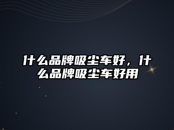 什么品牌吸塵車好，什么品牌吸塵車好用