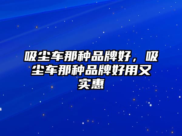 吸塵車那種品牌好，吸塵車那種品牌好用又實惠