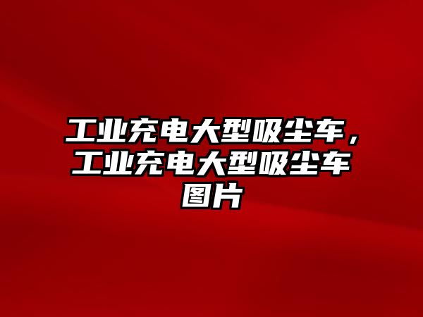 工業(yè)充電大型吸塵車，工業(yè)充電大型吸塵車圖片