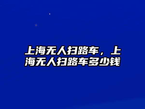 上海無(wú)人掃路車，上海無(wú)人掃路車多少錢