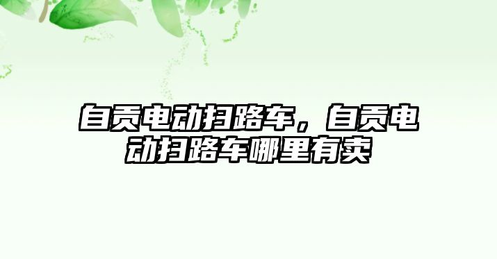 自貢電動掃路車，自貢電動掃路車哪里有賣