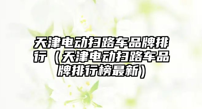 天津電動掃路車品牌排行（天津電動掃路車品牌排行榜最新）