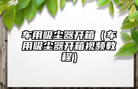 車用吸塵器開箱（車用吸塵器開箱視頻教程）