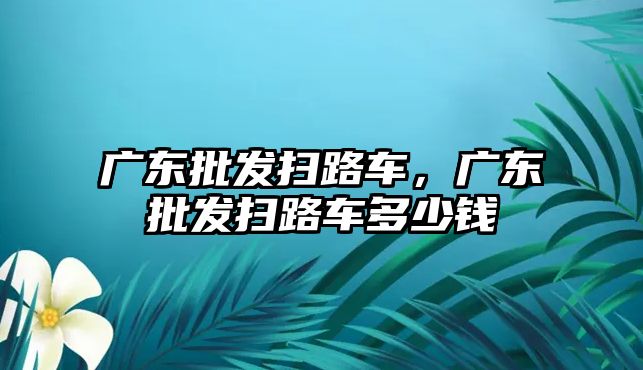 廣東批發(fā)掃路車，廣東批發(fā)掃路車多少錢