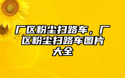 廠區(qū)粉塵掃路車，廠區(qū)粉塵掃路車圖片大全