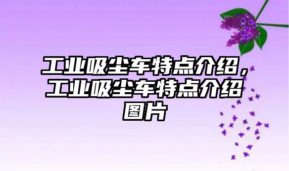 工業(yè)吸塵車特點介紹，工業(yè)吸塵車特點介紹圖片