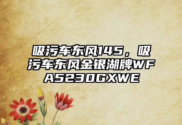 吸污車東風(fēng)145，吸污車東風(fēng)金銀湖牌WFA5230GXWE