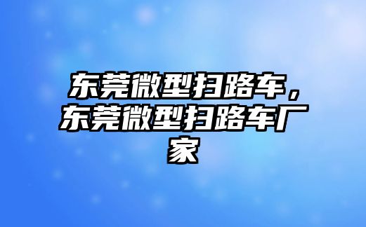 東莞微型掃路車，東莞微型掃路車廠家