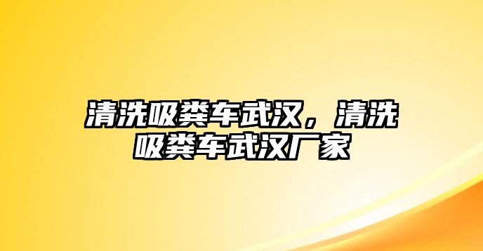 清洗吸糞車武漢，清洗吸糞車武漢廠家