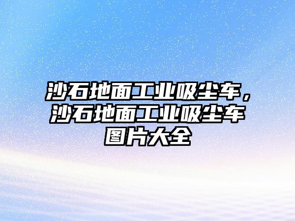 沙石地面工業(yè)吸塵車，沙石地面工業(yè)吸塵車圖片大全