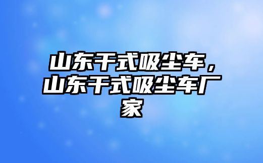 山東干式吸塵車，山東干式吸塵車廠家