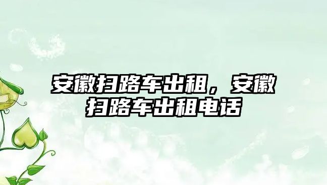 安徽掃路車出租，安徽掃路車出租電話