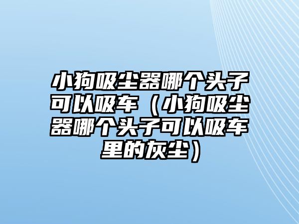 小狗吸塵器哪個頭子可以吸車（小狗吸塵器哪個頭子可以吸車里的灰塵）