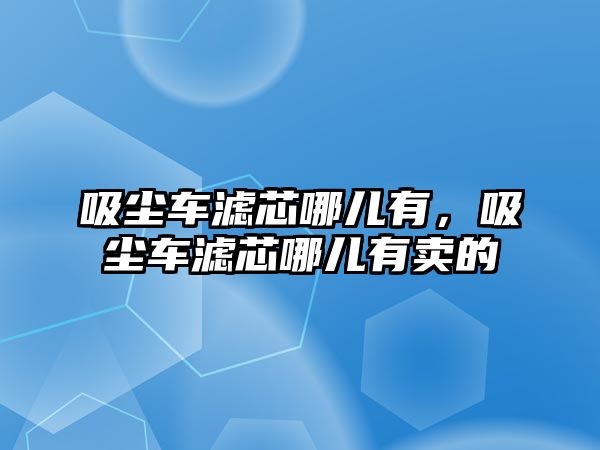 吸塵車濾芯哪兒有，吸塵車濾芯哪兒有賣的