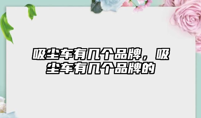 吸塵車有幾個(gè)品牌，吸塵車有幾個(gè)品牌的