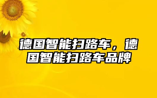 德國智能掃路車，德國智能掃路車品牌