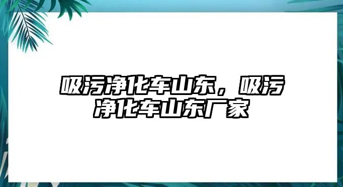 吸污凈化車山東，吸污凈化車山東廠家