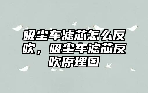 吸塵車濾芯怎么反吹，吸塵車濾芯反吹原理圖