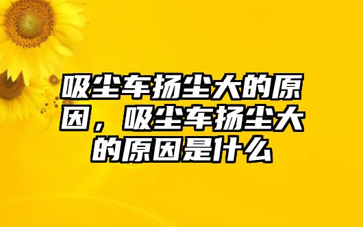 吸塵車揚(yáng)塵大的原因，吸塵車揚(yáng)塵大的原因是什么